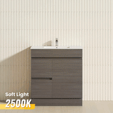 2-Drawer 1-Door Narrow 750mm Freestanding Bathroom Vanity Kickboard Multi-Colour Cabinet Only