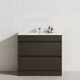 2-Drawer 600/750/900/1200mm Freestanding Bathroom Vanity Kickboard Single Multi-Colour Cabinet Only