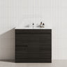 2-Drawer 2-Door Narrow 900mm Freestanding Bathroom Vanity Kickboard Multi-Colour Cabinet Only