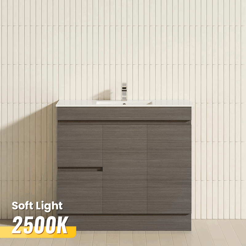 2-Drawer 2-Door Narrow 900mm Freestanding Bathroom Vanity Kickboard Multi-Colour Cabinet Only