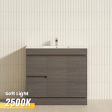 2-Drawer 2-Door Narrow 900mm Freestanding Bathroom Vanity Kickboard Multi-Colour Cabinet Only