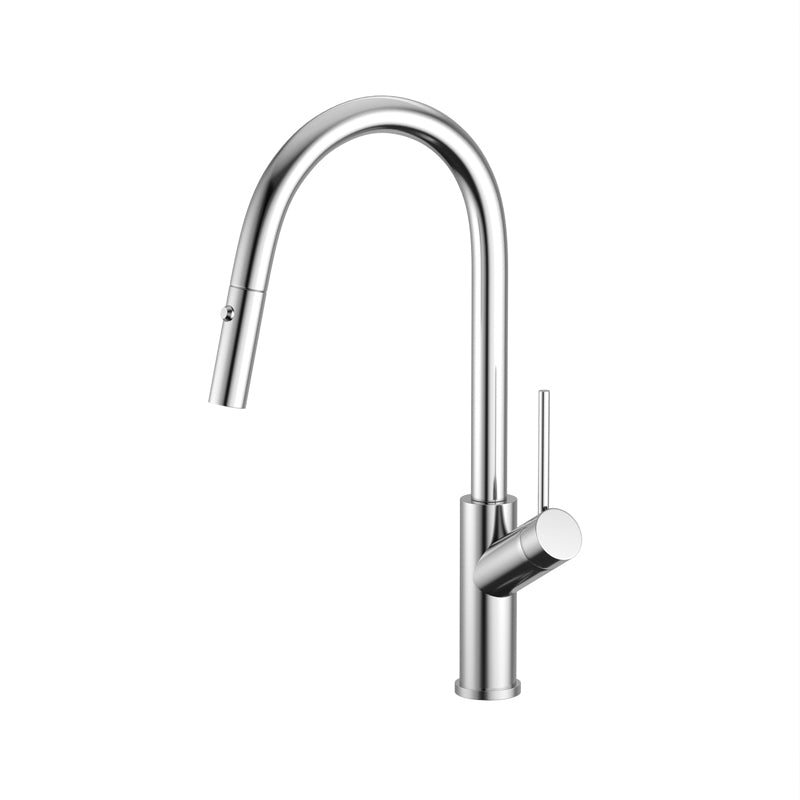 XCALIBRE XPRESSFIT Chrome 316 Stainless Steel Alfresco Gooseneck Pull Out Mixer with Dual Spray