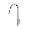 N#1(Nickel) XACTA XPRESSFIT 304 Stainless Steel Satin Retractable Kitchen Mixer Swivel and Pull Out