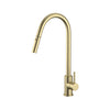 G#2(Gold) XACTA XPRESSFIT 304 Stainless Steel Brushed Gold Retractable Kitchen Mixer Swivel and Pull Out