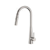 N#1(Nickel) XCEL XPRESSFIT Satin Stainless Steel Retractable Dual Spray Swivel Pull Out Mixer Tap