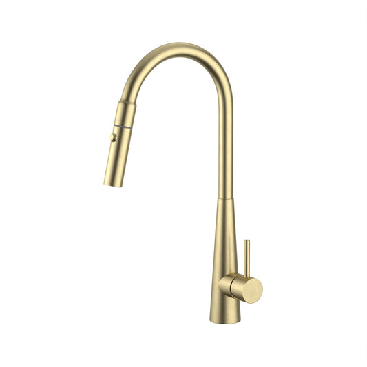 G#2(Gold) XCEL XPRESSFIT Brushed Gold Stainless Steel Retractable Dual Spray Swivel Pull Out Mixer Tap