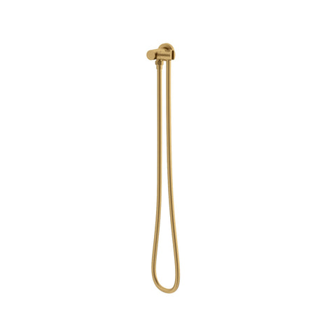 Brass Shower Holder Hose Wall Connector Brushed Gold