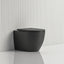 570X360X400Mm Bathroom Toilet Matt Black Wall Floor Faced Pan With Rimless Slim Duraplas Seat Pans