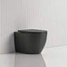 570X360X400Mm Bathroom Toilet Matt Black Wall Floor Faced Pan With Rimless Slim Duraplas Seat Pans