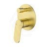 IKON Sulu II Brass Wall Diverter Mixer with Large Round Plate Variant Colour Available