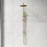 Cora Round 3-Function Twin Shower Set In Various Colour