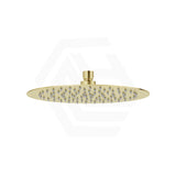 250mm 10 inch Dova Round Rainfall Shower Head Stainless Steel 304 Available In Colours