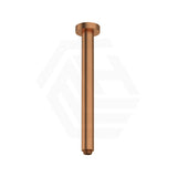 312mm Round 304 Stainless Steel Vertical Shower Arm - Brushed Copper