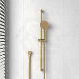 Cora Round Sliding Handheld Shower Head on Rail with Water Inlet Variant Colour Available
