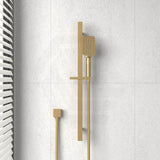 Eden Sliding Handheld Shower on Rail with Water Inlet Variant Colour Available