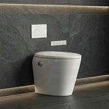 LAFEME Autolux Rimless Floor Pan Smart Toilet Suite with Inwall Cistern 593x395x500mm - Gloss White