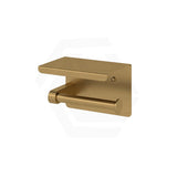 Amoza 2-in-1 Toilet Paper Roll Holder with Shelf Variant Colour Available