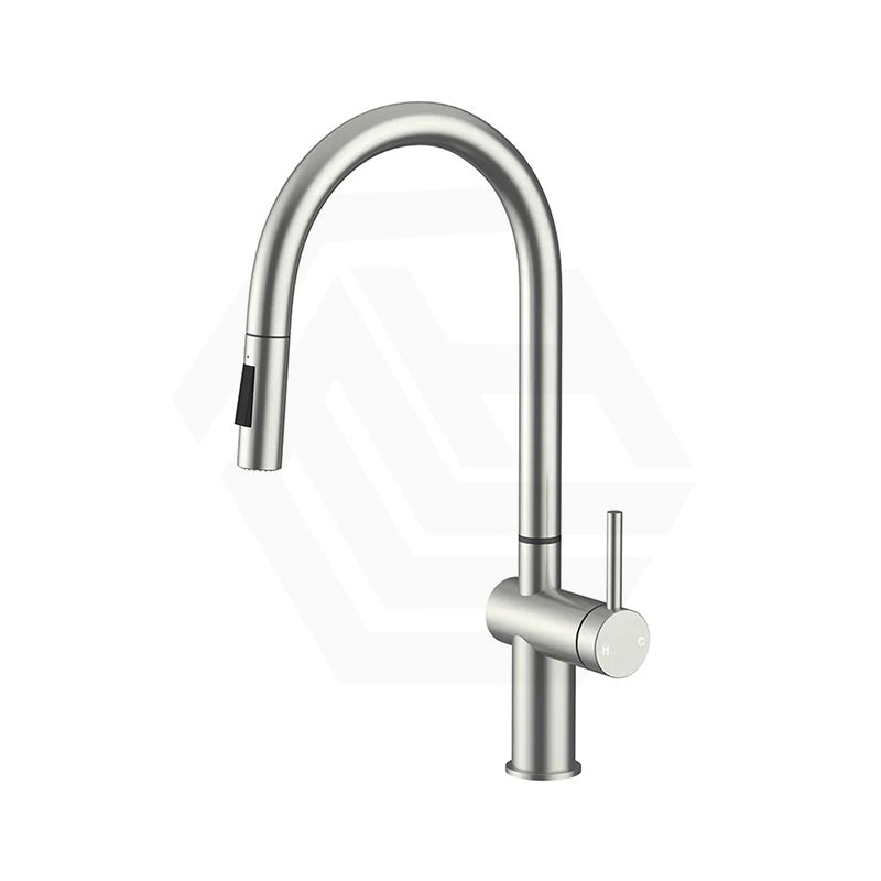 Amoza Gooseneck Swivel Pull Out Sink Mixer Modern Stainless Steel Variant Colour Available