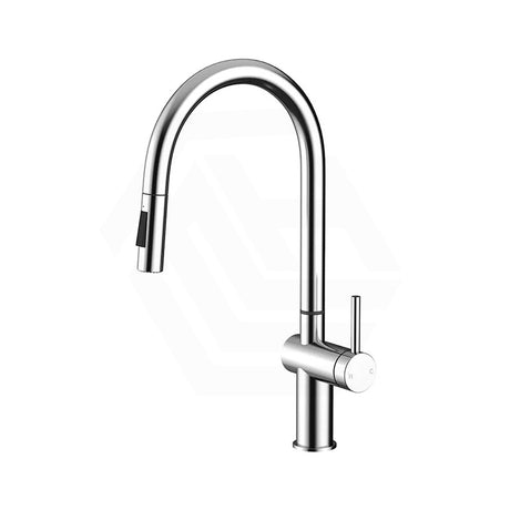 Amoza Gooseneck Swivel Pull Out Sink Mixer Modern Stainless Steel Variant Colour Available