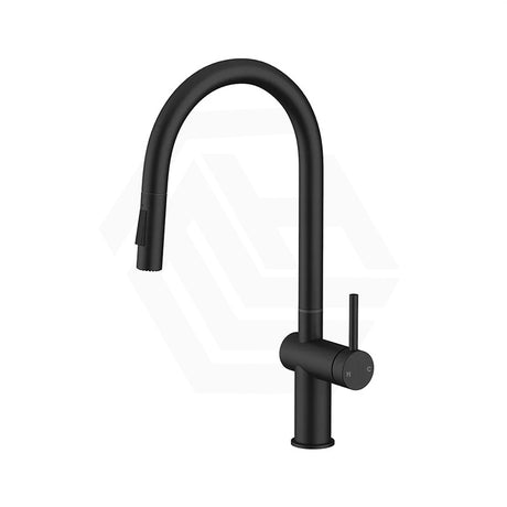 Amoza Gooseneck Swivel Pull Out Sink Mixer Modern Stainless Steel Variant Colour Available