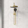 #Brushed Gold Amoza Round Mini Combo Twin Shower Set Top Inlet
