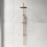 Amoza Round Twin Rail Shower Set 304 Stainless Steel Variant Colors Available