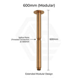 Amoza Customizable Round Ceiling Shower Arm 304 Stainless Steel 150mm/300mm/450mm/600mm - Variant Colours