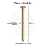 Amoza Customizable Round Ceiling Shower Arm 304 Stainless Steel 150mm/300mm/450mm/600mm - Variant Colours