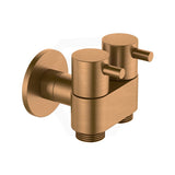 Amoza DN15 Dual Cistern Tap Variant Colour Available