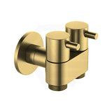 Amoza DN15 Dual Cistern Tap Variant Colour Available