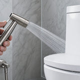 Amoza Hand Spray Set 304 Stainless Steel With Holder & Water Hose - Variant Colour