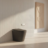 Aquaperla Smart Toilet with Aroma Diffusion and Instant Heating 680x395x470mm - Various Colours