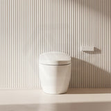 Aquaperla Smart Toilet with Instant Heating and Jet Siphon Flushing 670x405x490mm