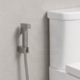 Aquaperla Brass Square Toilet Bidet Spray Kit with 1.2m Stainless Steel Hose - Variant Colour Available