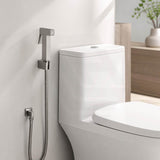 Aquaperla Brass Square Toilet Bidet Spray Kit with 1.2m Stainless Steel Hose - Variant Colour Available