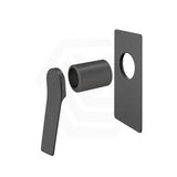 Aquaperla RUSHY Brass Wall Mixer Trim Kit Only Colour Available