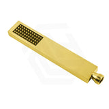 Aquaperla Square Brass Handheld Shower Spray Head Single Function Variant Colour Available