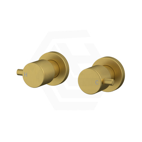 G#1(Gold) Aquaperla Round Brushed Gold Shower Wall Taps Solid Brass Top Assemblies