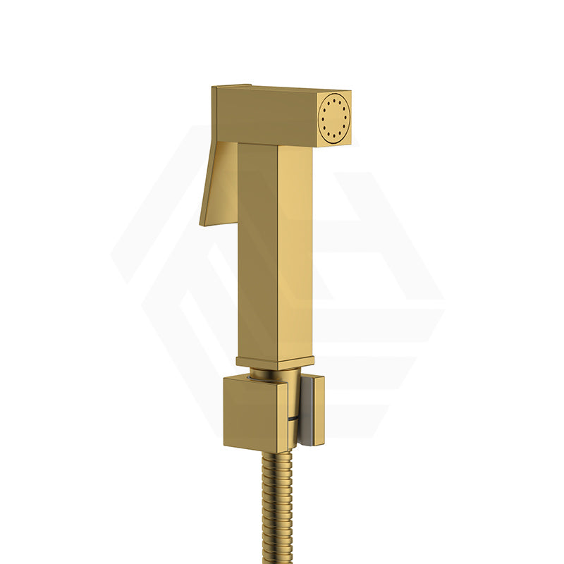 Brushed Gold bidet spray