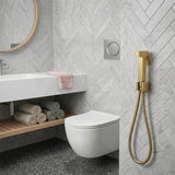 Aquaperla Brass Square Toilet Bidet Spray Kit with 1.2m Stainless Steel Hose - Variant Colour Available