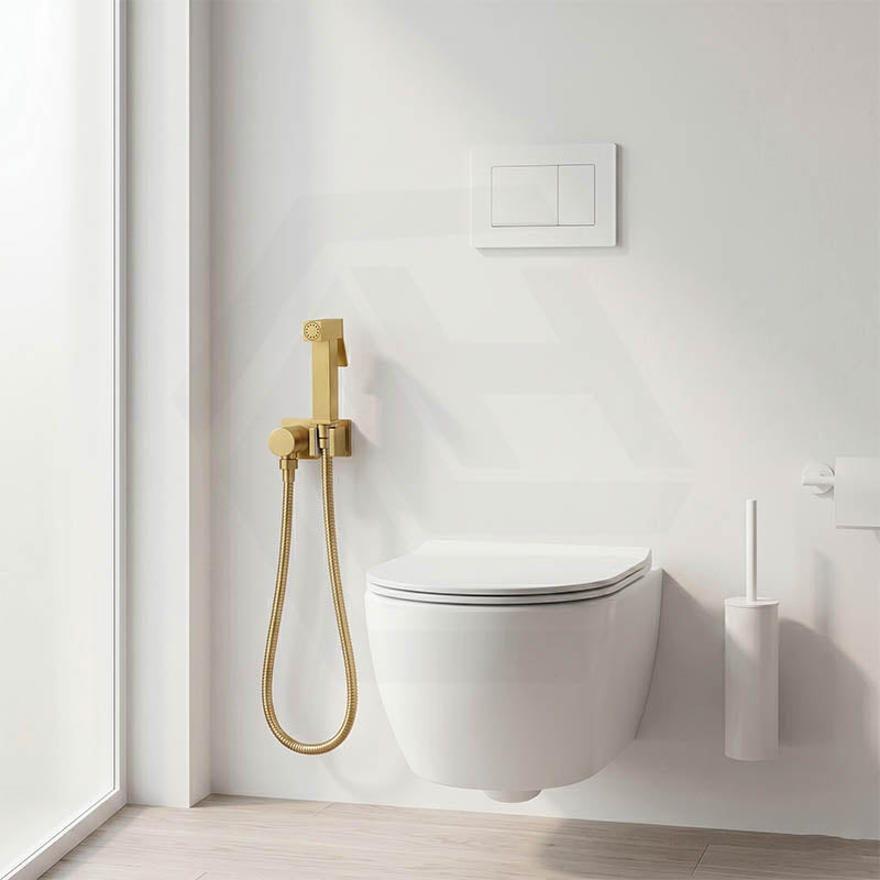 Aquaperla Brass Square Toilet Bidet Spray Kit with 1.2m Stainless Steel Hose - Variant Colour Available