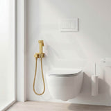 Aquaperla Brass Square Toilet Bidet Spray Kit with 1.2m Stainless Steel Hose - Variant Colour Available