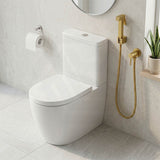 Aquaperla Brass Square Toilet Bidet Spray Kit with 1.2m Stainless Steel Hose - Variant Colour Available