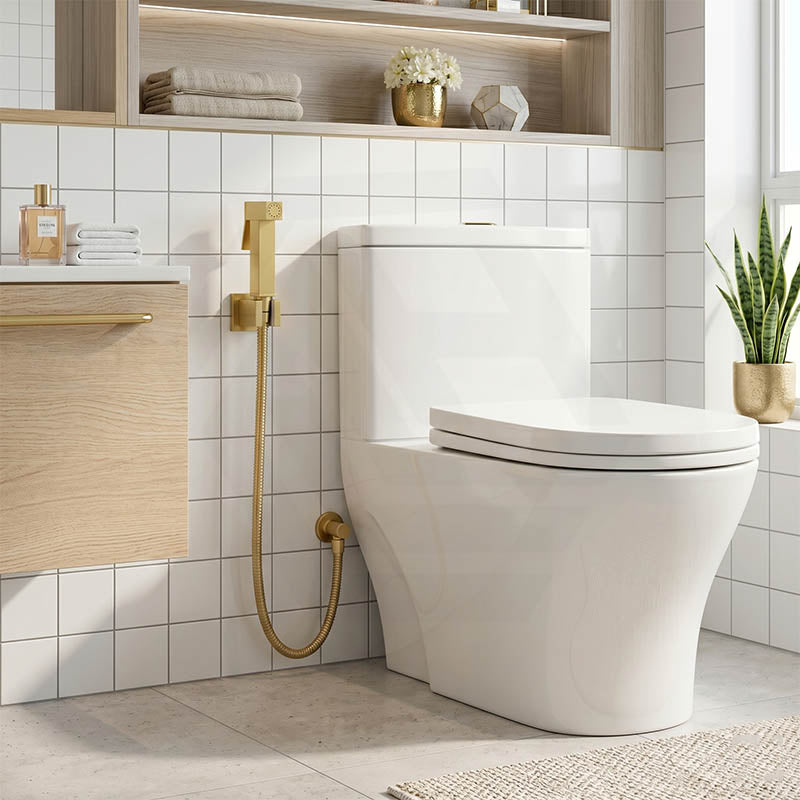 Aquaperla Brass Square Toilet Bidet Spray Kit with 1.2m Stainless Steel Hose - Variant Colour Available