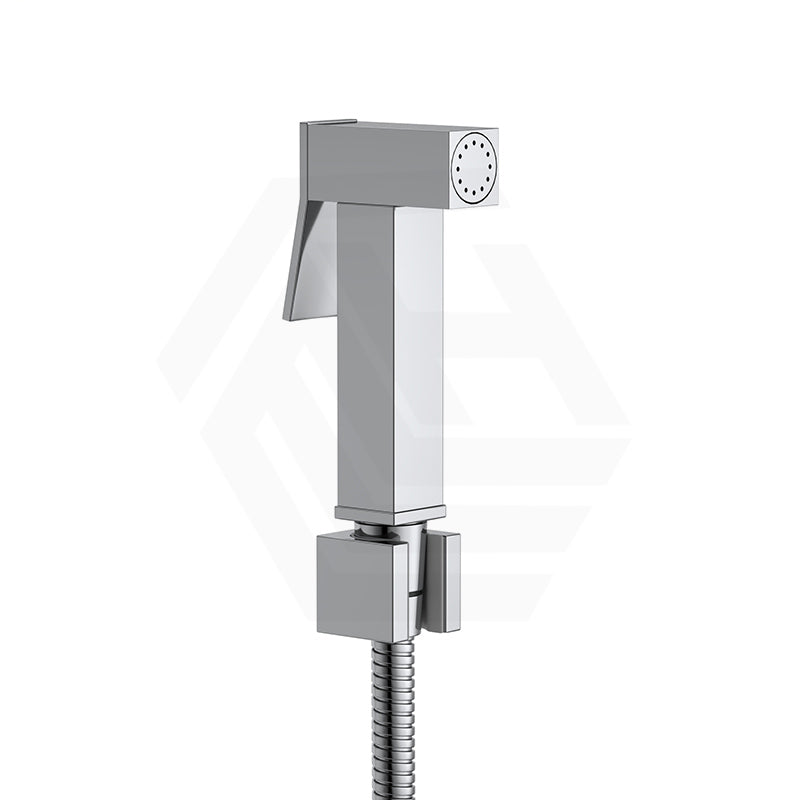 Chrome bidet spray
