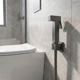 Aquaperla Brass Square Toilet Bidet Spray Kit with 1.2m Stainless Steel Hose - Variant Colour Available