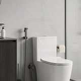 Aquaperla Brass Square Toilet Bidet Spray Kit with 1.2m Stainless Steel Hose - Variant Colour Available
