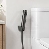Aquaperla Gunmetal Grey Toilet Bidet Spray Kit with 1.2m Stainless Steel Water Hose - M#1(Gunmetal-Grey)