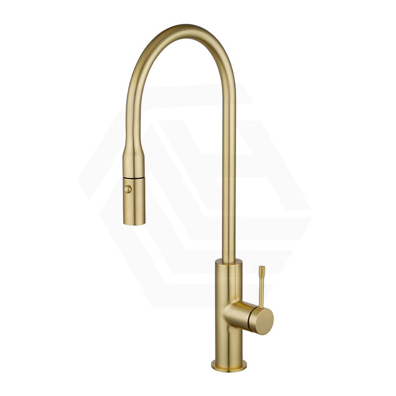 Aquaperla Round Solid Brass Pull Out Kitchen Sink Mixer Tap Light Brushed Brass