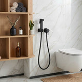 Aquaperla Brass Square Toilet Bidet Spray Kit with 1.2m Stainless Steel Hose - Variant Colour Available